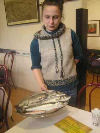 Vilken fisk ska vi laga åt er?